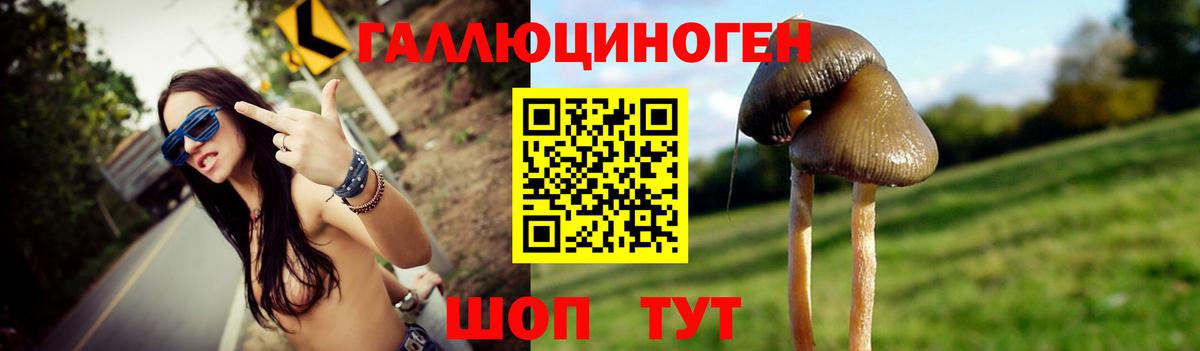Псилоцибиновые грибы MAGIC MUSHROOMS  Вход с VPN  Галлюциногенные грибы Magic Shrooms  Химки 